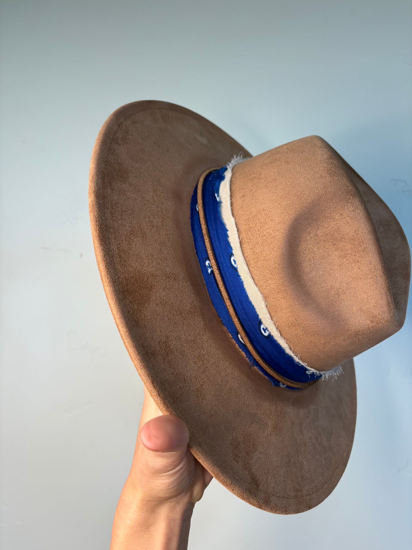 Saddle and Sky