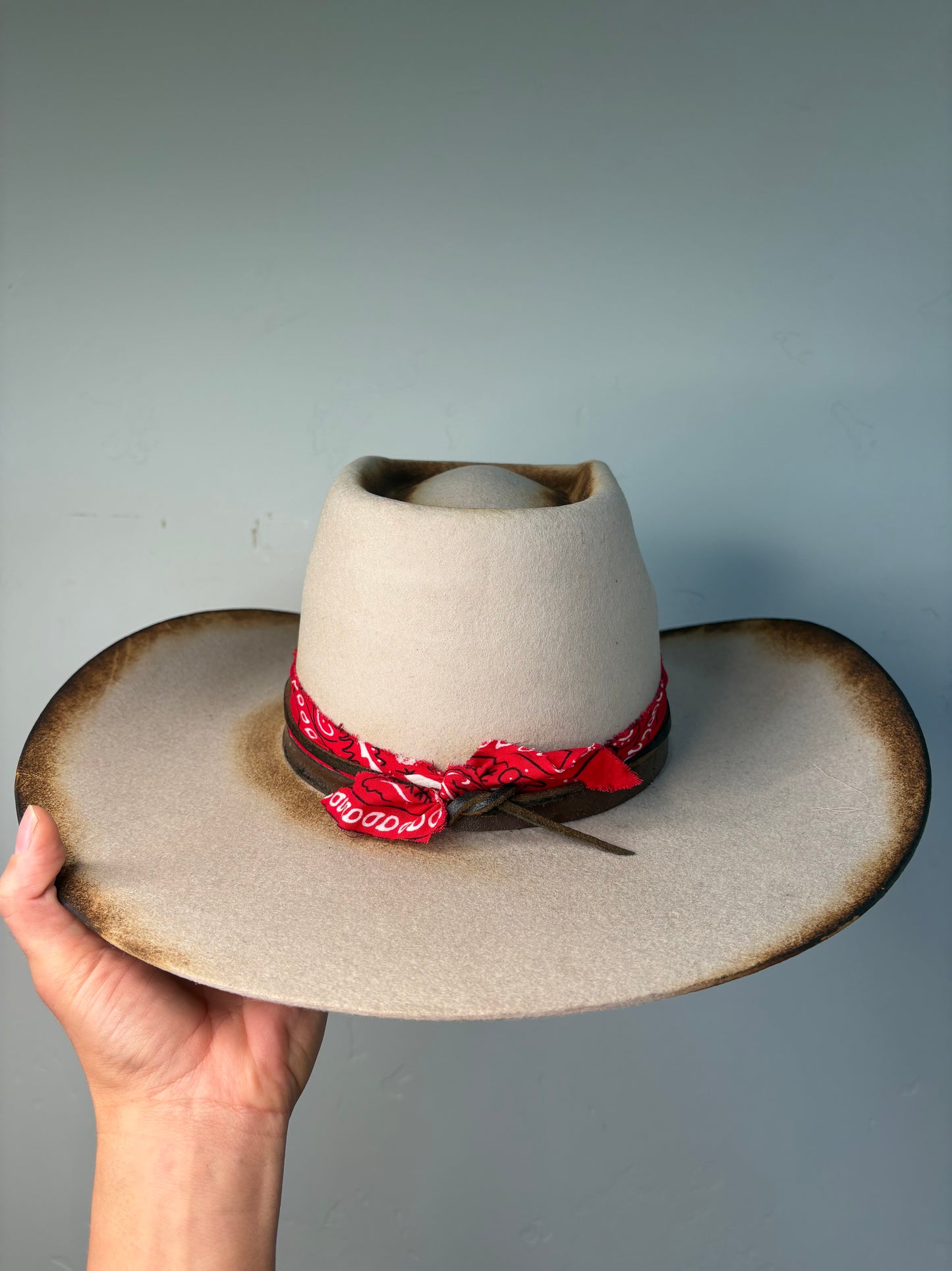 Red Bandit